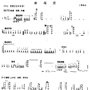 柳琴考级曲目五级 幸福渠 王惠然