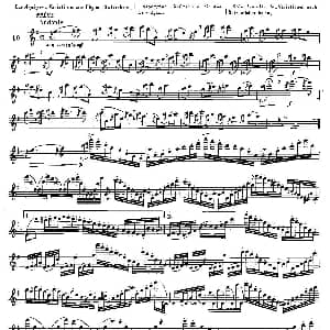 长笛曲谱 | 基于维尼亚夫斯基练习曲的10首长笛练习曲之10 Moyse 10 Studies After Wieniawski 莫伊斯Moyse