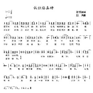 认识你真好_通俗唱法乐谱_词曲:清秀源 迎风