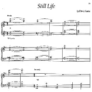 Still Life 钢琴谱 美 大卫 兰兹 David Lanz