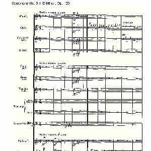D小调第九交响曲 Op.125第二乐章