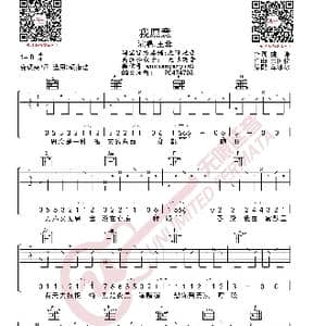 王菲 我愿意 吉他谱_歌曲简谱