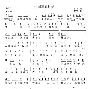你回家的日子_通俗唱法乐谱_词曲:微光 曾宫程