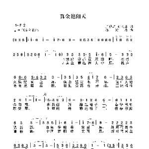 真金艳阳天_歌谱投稿_词曲:王镜宾孙树森 孙树森