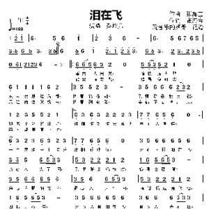 泪在飞_歌曲简谱_词曲:张海宝 张海宝