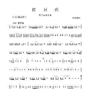 葫芦丝谱 | 红月亮 葫芦丝独奏 徐沛东