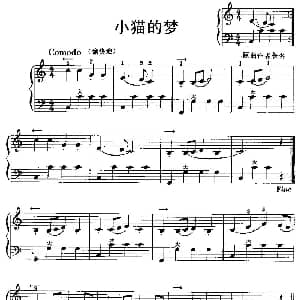 手风琴谱 | 小猫的梦