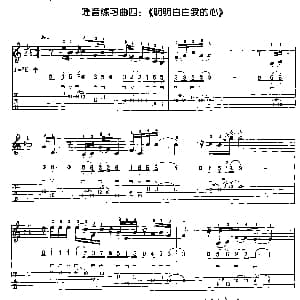 明明白白我的心 吉他谱