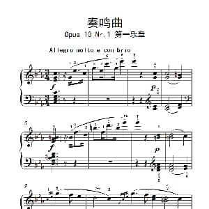奏鸣曲 Opus 10 Nr.1 第一乐章 钢琴谱 贝多芬