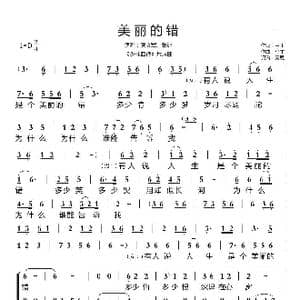 美丽的错_歌谱投稿_词曲:甲丁 马丁