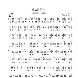 什么样的你_歌谱投稿