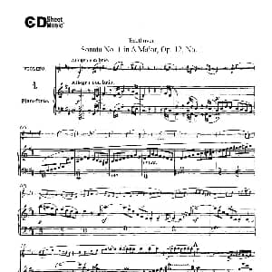 小提琴谱 | D大调第一小提琴奏鸣曲 Sonata No.1 in D Major Op.12,No.1 小提琴 钢琴伴奏 Beethoven ​贝多芬