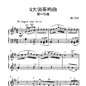 第五级 1.G大调奏鸣曲 第一乐章 中央音乐学院 钢琴 业余 考级教程 4 6级 奥 海顿