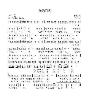 年的记忆_歌曲简谱_词曲:张巍 小弩