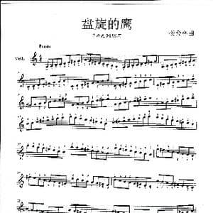盘旋的鹰_歌曲简谱_词曲: 杨会林