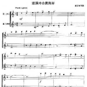 长笛曲谱 | 波浪冲击着海岸 重奏