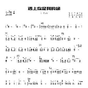 遇上你是我的缘_歌曲简谱_词曲:昂旺文章 才仁巴桑