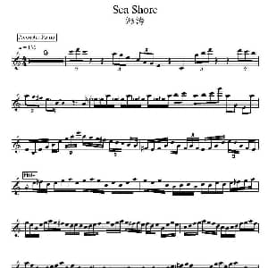电子琴谱 | 海涛