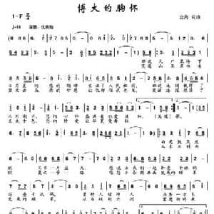 博大的胸怀_民歌简谱_词曲:金海 金海