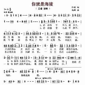 你就是海拔_歌曲简谱_词曲:任毅 冯辉