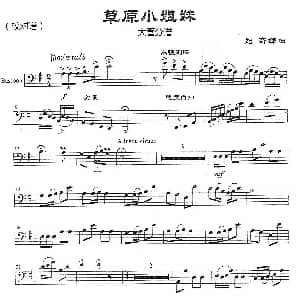 草原英雄小姐妹 大管分谱 刘奇编曲