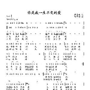 你是我一生不变的爱_歌曲简谱_词曲:萧思林 向邦瑜