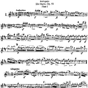 长笛曲谱 | 博比格6首长笛二重奏练习曲Op.59 Flute 1 Berbiguier 博比格