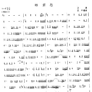笛子谱 | 昭君怨