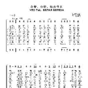 白桦,白桦,你为什么 ЧТО ТЫ,БЕЛАЯ БЕРЕЗА_歌曲简谱_词曲:俄罗斯民歌
