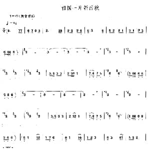 祖国一片新面貌 唢呐