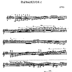 泰雷加高级技巧练习 吉他谱 泰雷加