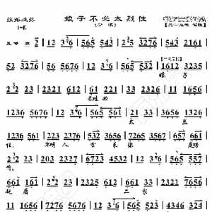 搜孤救孤 娘子不必太烈性_歌曲简谱_词曲:暂无 恒流星制谱