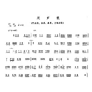 双声恨 广东乐曲