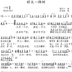 好大一棵树_通俗唱法乐谱_词曲:邹友开 伍嘉冀