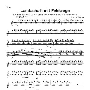萨克斯谱 | Landschaft mit Feldwege 木管五重奏 分谱