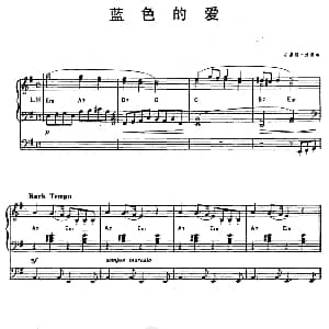 电子琴谱 | 蓝色的爱 双排键电子琴 安德烈 波普