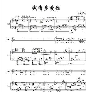 我有多爱你_歌曲简谱_词曲:王生宁 栾凯