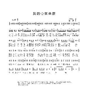 我的心在草原_歌曲简谱_词曲:赵鹏豪 姜振