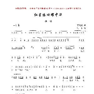 红星依旧耀中华_歌曲简谱_词曲:丁达宾 珊卡