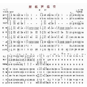 拔根芦柴花_歌曲简谱_词曲: 王爱康编曲
