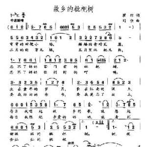 故乡的枇杷树_民歌简谱_词曲:瞿琮 刘佳