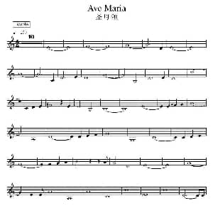 电子琴谱 | 圣母颂