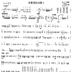 柳琴考级曲目四级 在希望的田野上 施光南