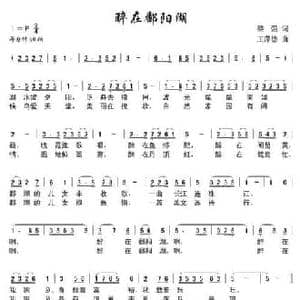 醉在鄱阳湖_民歌简谱_词曲:黎强 王萍德