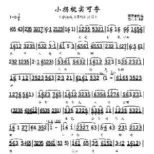 小拐棍实可夸_歌谱投稿