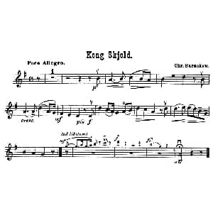 小提琴谱 | Kong Skjold.