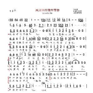 风里雨里我在等你_歌曲简谱_词曲:郭冬青/司文 司文