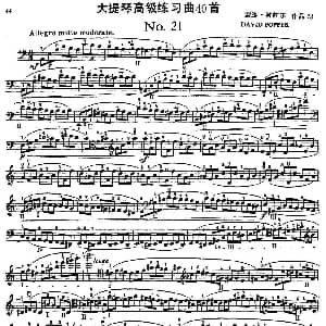 大提琴高级练习曲40首 No.21 戴维 波帕尔