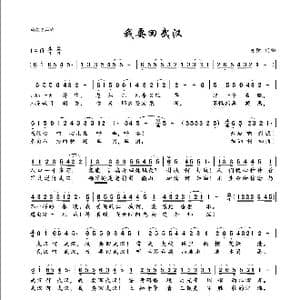 我要回武汉 亦弛原创 _歌曲简谱_词曲:亦弛 亦弛