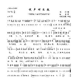 说声对不起_歌曲简谱_词曲:孙仪 佚名